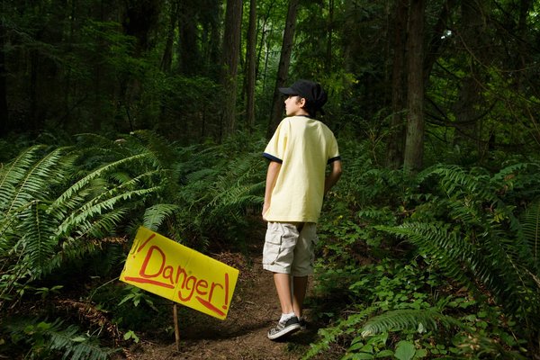 Croquettes pour chien à éviter : dangers et alternatives à connaître.