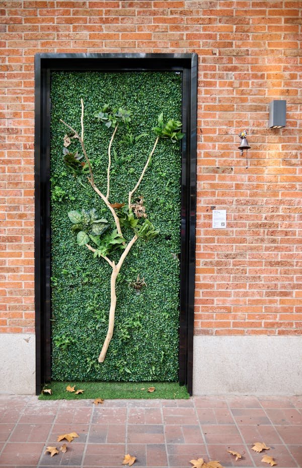 Équipement vétérinaire : le matériel indispensable à avoir